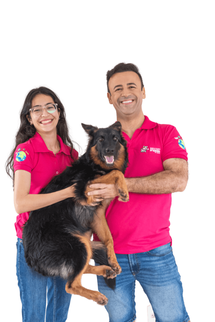 Bright n shine pet dental