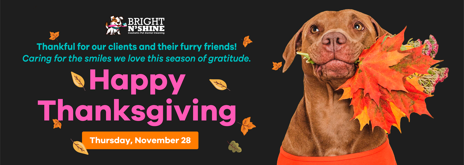WEBP THANKSGIVING