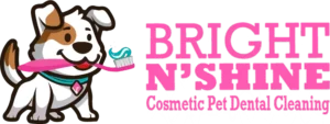 Bright N Shine Pet Dental