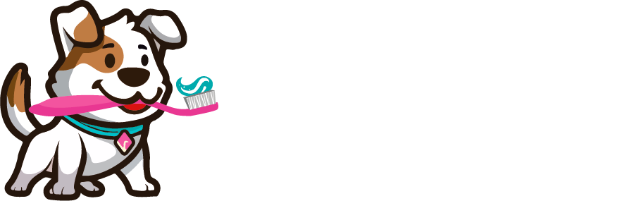 Bright N' Shine Pet Dental