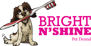 LOGO-BNS-VETORIZADO-1000ppi-1.webp
